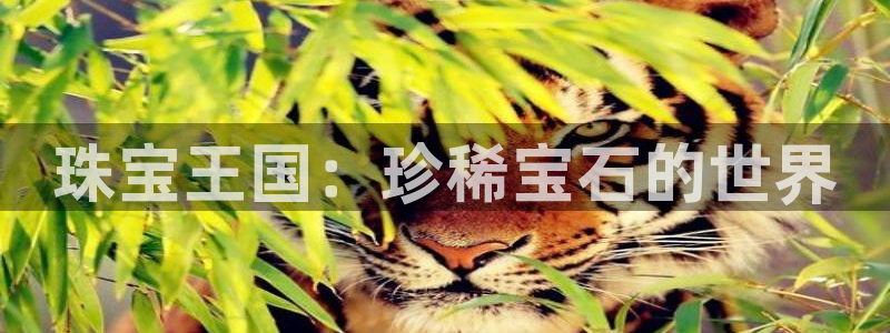 腾众竞技娱乐:珠宝王国:珍稀宝石的世界