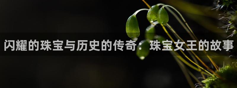 腾众娱乐:闪耀的珠宝与历史的传奇:珠宝女王的故事